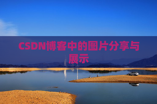 CSDN博客中的图片分享与展示